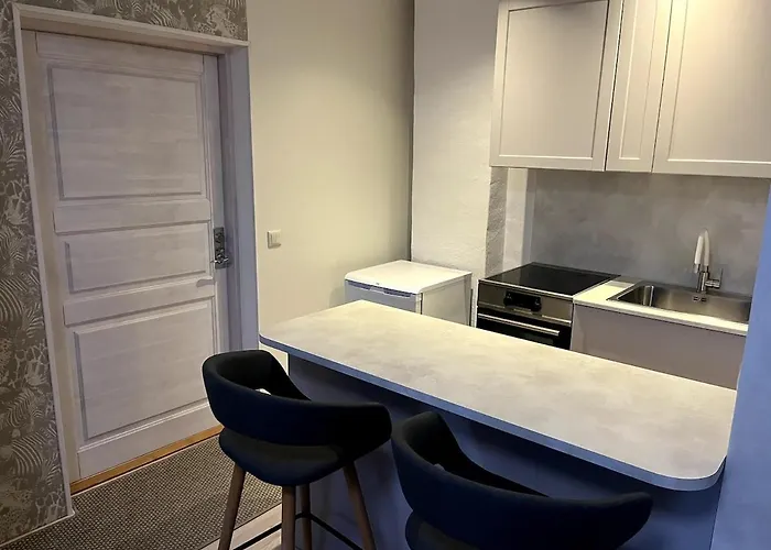 An By The Emajogi River 아파트 타르투