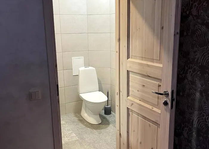 An By The Emajogi River Tartu